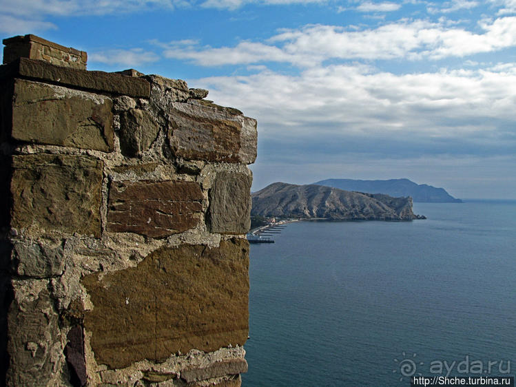 Приключения японцев в Украине