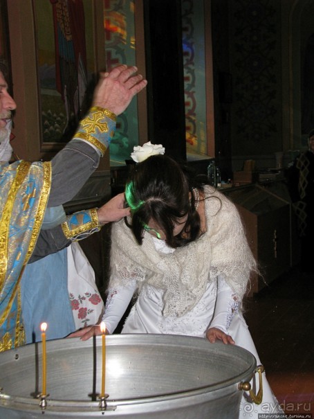 Приключения японцев в Украине