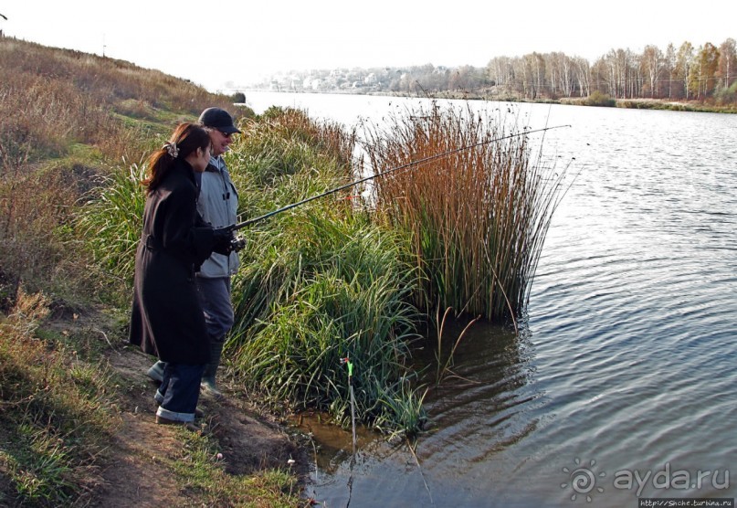 Приключения японцев в Украине