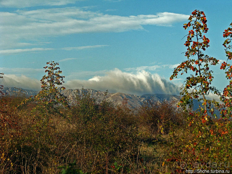 Приключения японцев в Украине