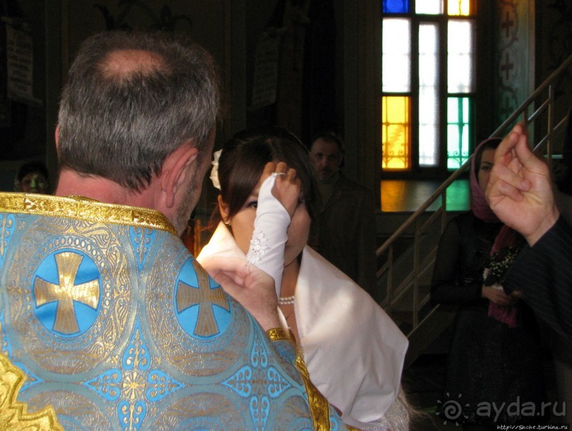 Приключения японцев в Украине