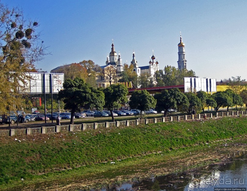 Приключения японцев в Украине