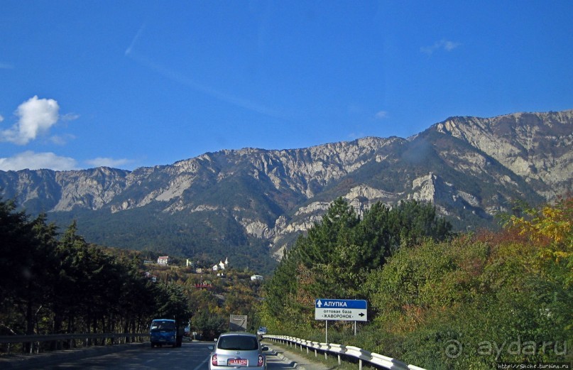 Приключения японцев в Украине