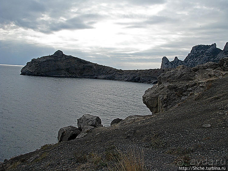 Приключения японцев в Украине