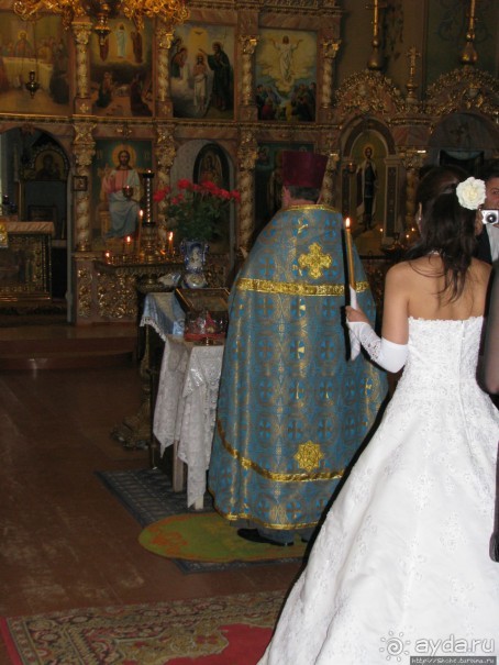 Приключения японцев в Украине