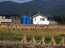 "У безымянного поселка..."