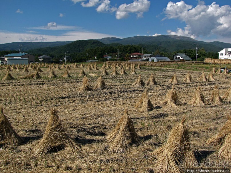 "У безымянного поселка..."