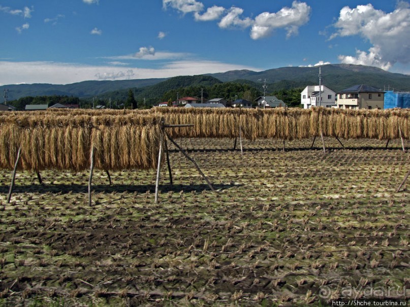 "У безымянного поселка..."