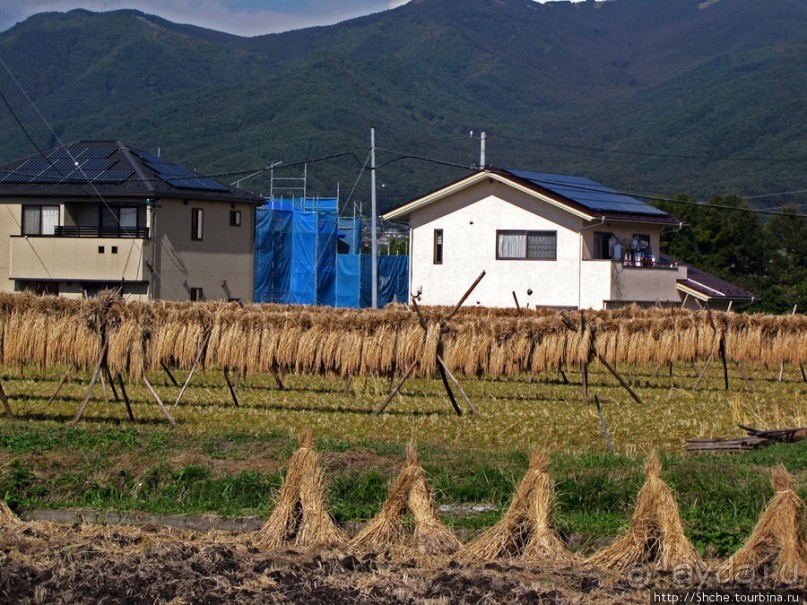 "У безымянного поселка..."
