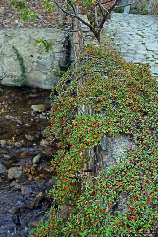 Уединенный андоррский городок в ущелье речушки Riu d'Os 