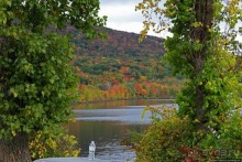 В гостях у Радуги. Над Чеширом тучи ходят хмуро