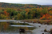В гостях у Радуги. Над Чеширом тучи ходят хмуро