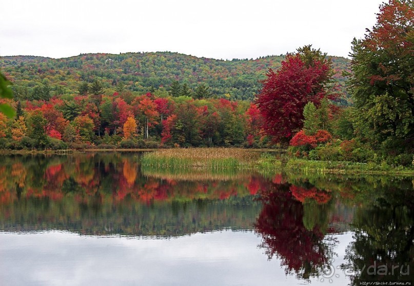 В гостях у Радуги. Над Чеширом тучи ходят хмуро