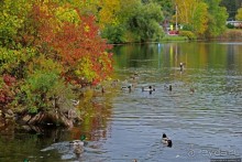 В гостях у Радуги. Над Чеширом тучи ходят хмуро
