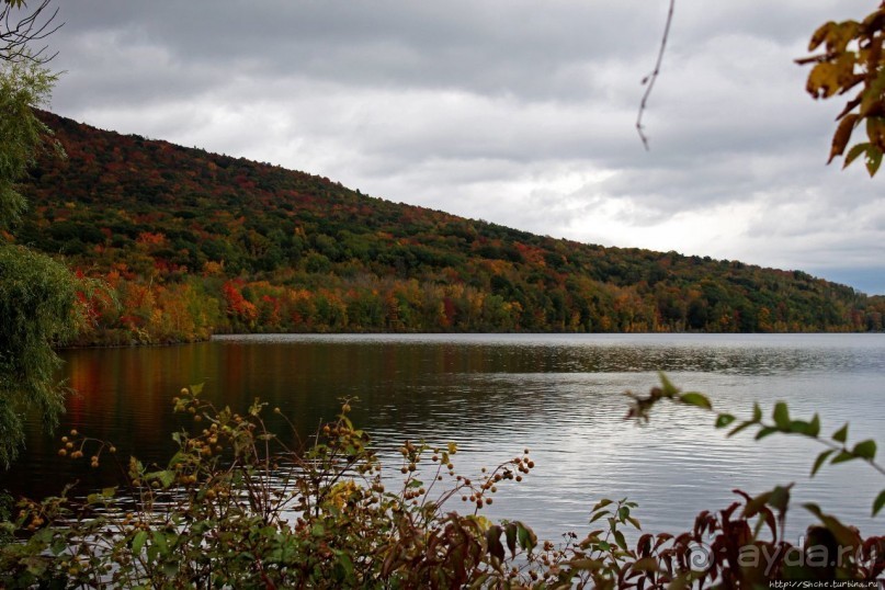 В гостях у Радуги. Над Чеширом тучи ходят хмуро