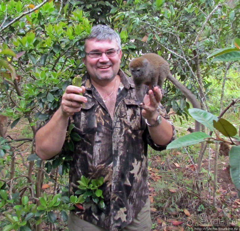 "Как дети малые"- альбом позитивного настроения. Мы и лемуры