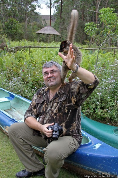 "Как дети малые"- альбом позитивного настроения. Мы и лемуры