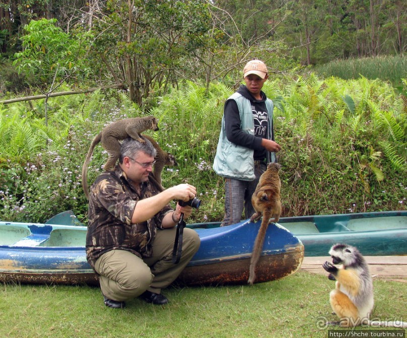 "Как дети малые"- альбом позитивного настроения. Мы и лемуры