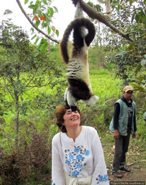 "Как дети малые"- альбом позитивного настроения. Мы и лемуры