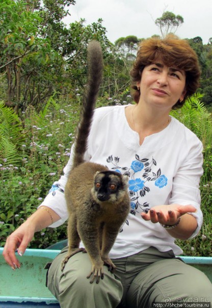 "Как дети малые"- альбом позитивного настроения. Мы и лемуры