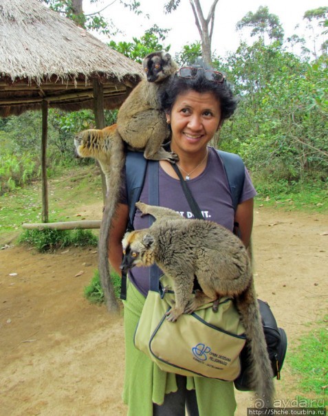 "Как дети малые"- альбом позитивного настроения. Мы и лемуры