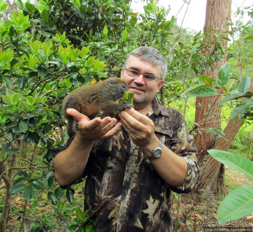 "Как дети малые"- альбом позитивного настроения. Мы и лемуры