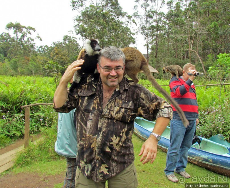 "Как дети малые"- альбом позитивного настроения. Мы и лемуры
