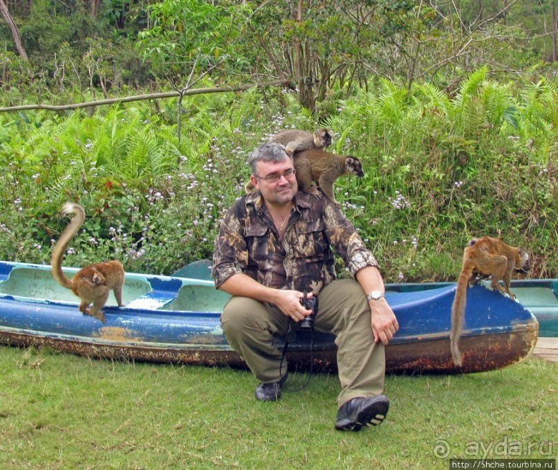 "Как дети малые"- альбом позитивного настроения. Мы и лемуры