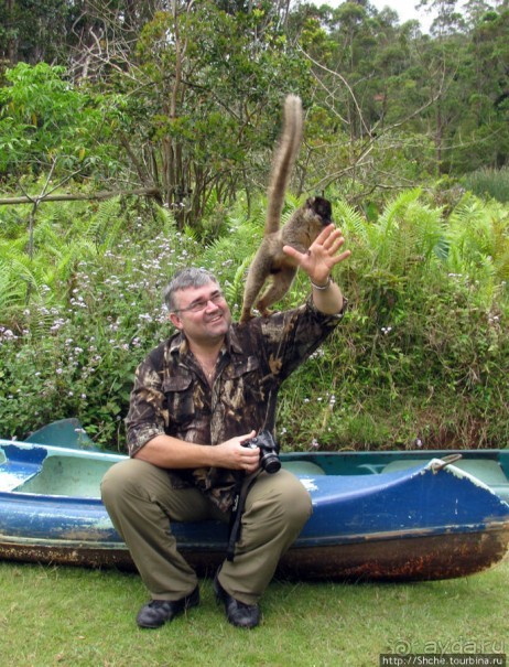 "Как дети малые"- альбом позитивного настроения. Мы и лемуры