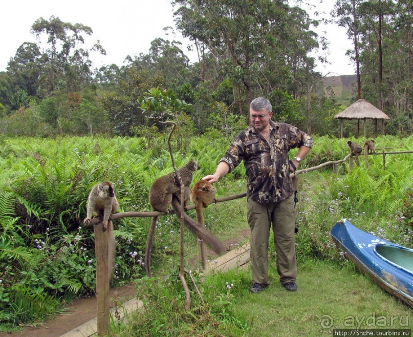 "Как дети малые"- альбом позитивного настроения. Мы и лемуры