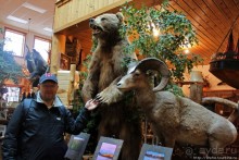 Галерея "Wild West Designs" - а какие у них тогда музеи?