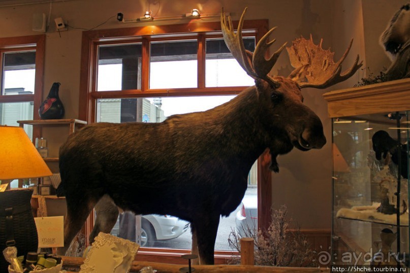 Галерея "Wild West Designs" - а какие у них тогда музеи?