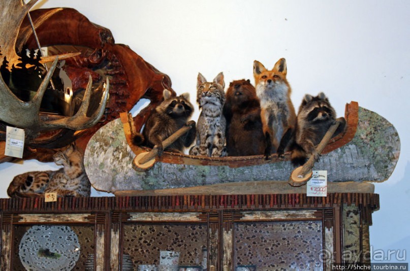 Галерея "Wild West Designs" - а какие у них тогда музеи?