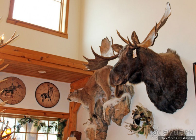 Галерея "Wild West Designs" - а какие у них тогда музеи?