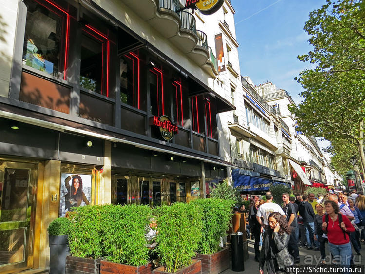 Культовое кафе в Париже