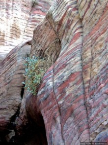 Многоцветие Петры - одного из Чудес Света