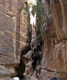 Многоцветие Петры - одного из Чудес Света