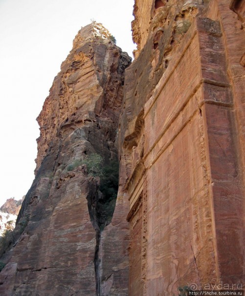 Многоцветие Петры - одного из Чудес Света