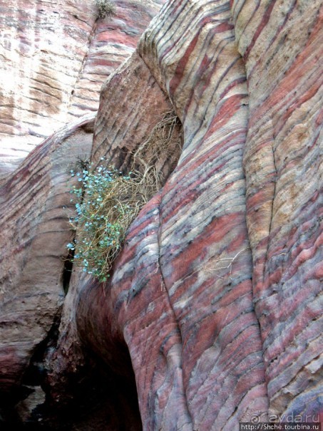 Многоцветие Петры - одного из Чудес Света