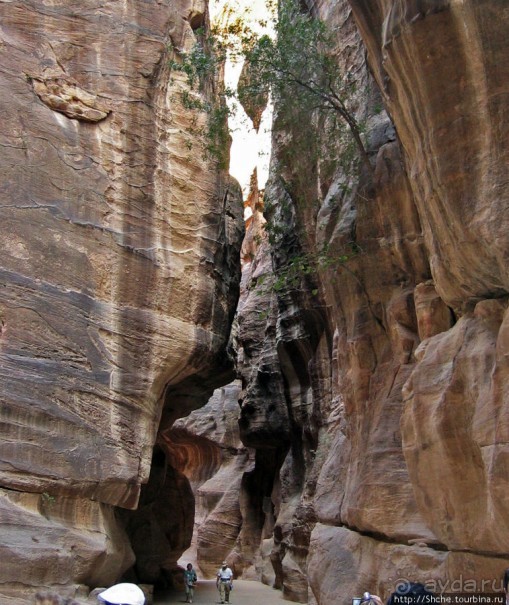 Многоцветие Петры - одного из Чудес Света