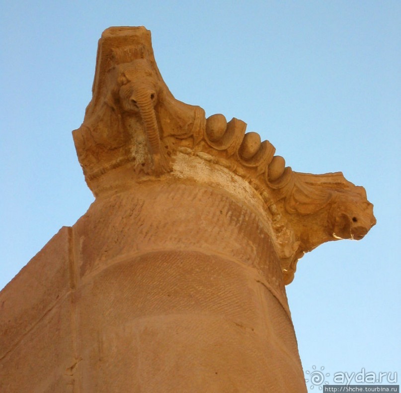 Многоцветие Петры - одного из Чудес Света