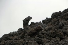 Этна. Прогулка по "живой" лаве... Кратер Laghetto