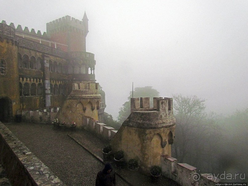 Пена туманная