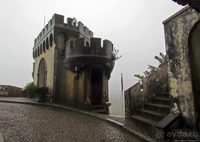 Пена туманная