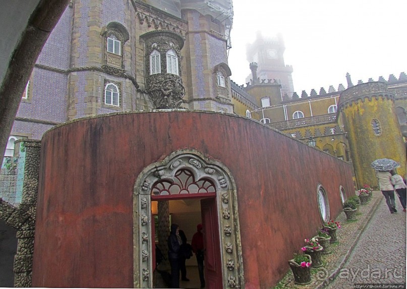 Пена туманная