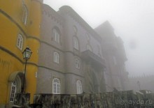 Пена туманная