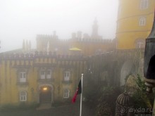 Пена туманная