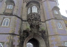 Пена туманная