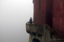 Пена туманная