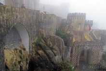 Пена туманная